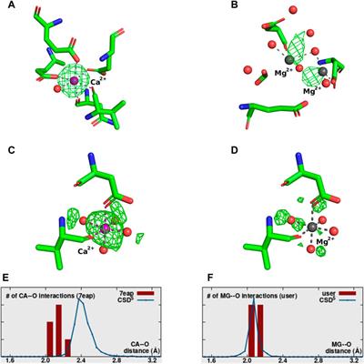 Metal ions in biomedically relevant macromolecular structures